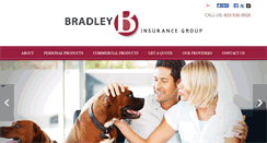 Desktop Screenshot of bradleyinsgroup.com